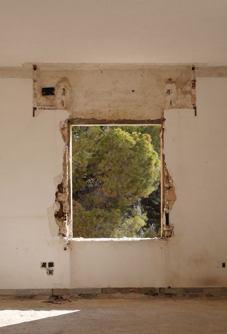 Unfinished white wall with a rough rectangular opening looking out at green pine trees during a home renovation.